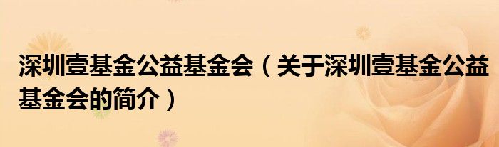 深圳壹基金公益基金會（關(guān)于深圳壹基金公益基金會的簡介）