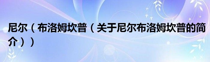 尼爾（布洛姆坎普（關(guān)于尼爾布洛姆坎普的簡(jiǎn)介））