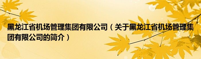 黑龍江省機場管理集團有限公司（關于黑龍江省機場管理集團有限公司的簡介）