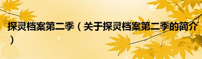 探靈檔案第二季（關(guān)于探靈檔案第二季的簡介）