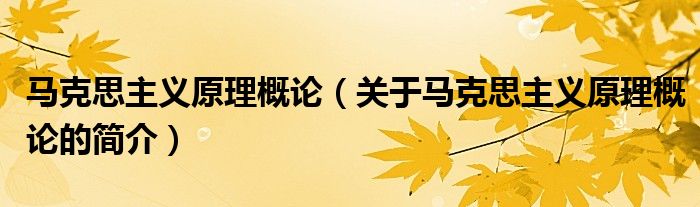 馬克思主義原理概論（關(guān)于馬克思主義原理概論的簡介）