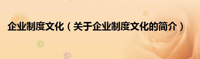 企業(yè)制度文化（關(guān)于企業(yè)制度文化的簡介）