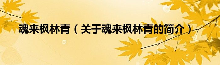 魂來(lái)?xiàng)髁智啵P(guān)于魂來(lái)?xiàng)髁智嗟暮?jiǎn)介）