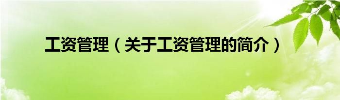 工資管理（關(guān)于工資管理的簡介）