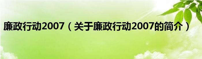 廉政行動2007（關(guān)于廉政行動2007的簡介）