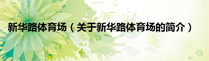 新華路體育場(chǎng)（關(guān)于新華路體育場(chǎng)的簡(jiǎn)介）