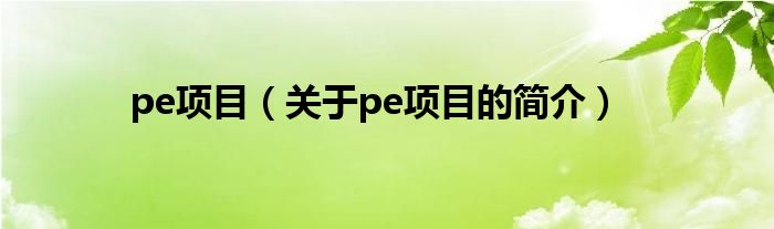 pe項(xiàng)目（關(guān)于pe項(xiàng)目的簡(jiǎn)介）