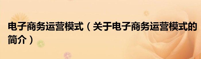 電子商務運營模式（關于電子商務運營模式的簡介）