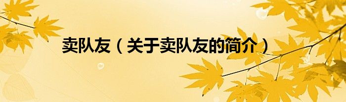 賣隊(duì)友（關(guān)于賣隊(duì)友的簡介）