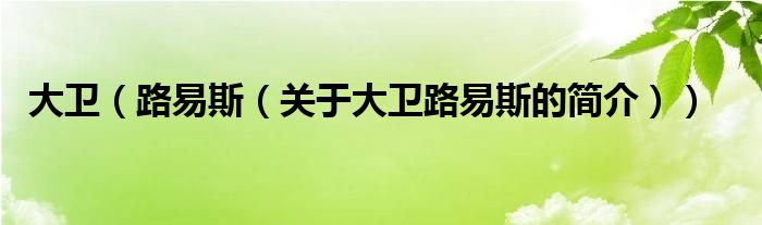 大衛(wèi)（路易斯（關(guān)于大衛(wèi)路易斯的簡介））