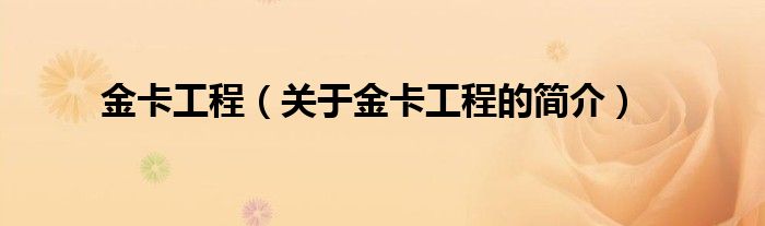 金卡工程（關(guān)于金卡工程的簡(jiǎn)介）