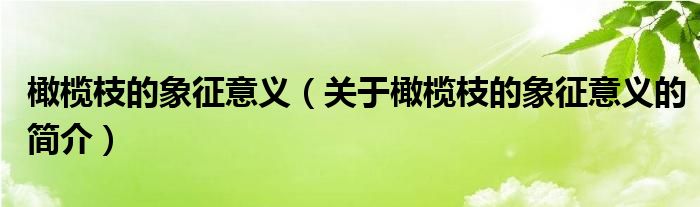 橄欖枝的象征意義（關于橄欖枝的象征意義的簡介）