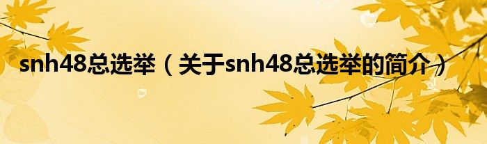 snh48總選舉（關(guān)于snh48總選舉的簡介）