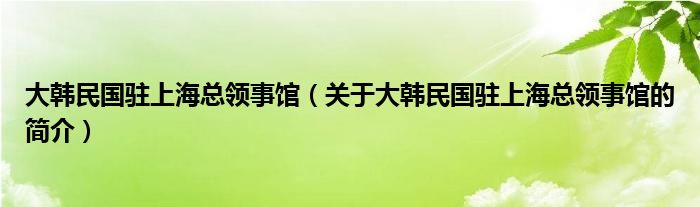 大韓民國駐上?？傤I(lǐng)事館（關(guān)于大韓民國駐上?？傤I(lǐng)事館的簡介）