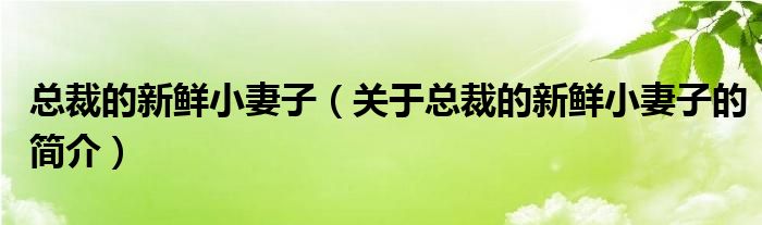 總裁的新鮮小妻子（關于總裁的新鮮小妻子的簡介）