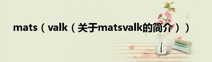 mats（valk（關(guān)于matsvalk的簡介））