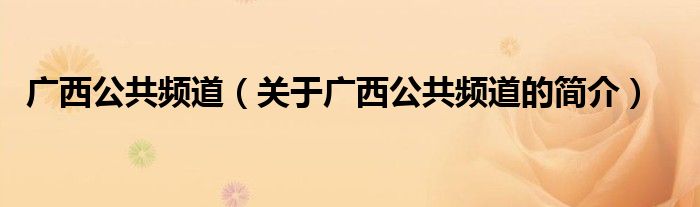 廣西公共頻道（關(guān)于廣西公共頻道的簡(jiǎn)介）