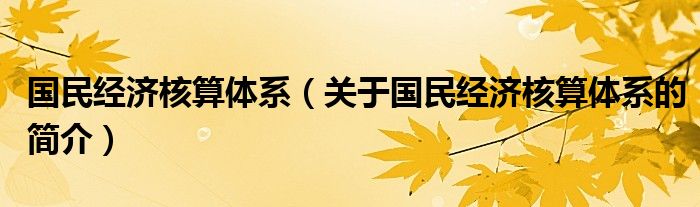 國民經(jīng)濟(jì)核算體系（關(guān)于國民經(jīng)濟(jì)核算體系的簡介）