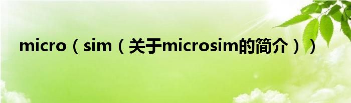 micro（sim（關(guān)于microsim的簡介））