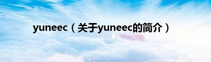 yuneec（關(guān)于yuneec的簡介）