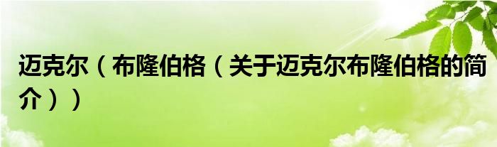 邁克爾（布隆伯格（關(guān)于邁克爾布隆伯格的簡(jiǎn)介））