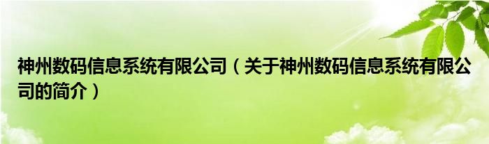 神州數(shù)碼信息系統(tǒng)有限公司（關(guān)于神州數(shù)碼信息系統(tǒng)有限公司的簡(jiǎn)介）