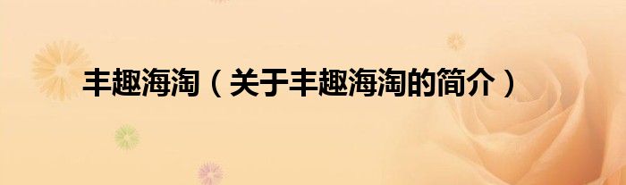 豐趣海淘（關(guān)于豐趣海淘的簡(jiǎn)介）