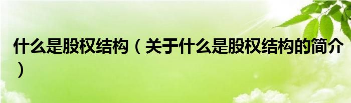 什么是股權(quán)結(jié)構(gòu)（關(guān)于什么是股權(quán)結(jié)構(gòu)的簡介）