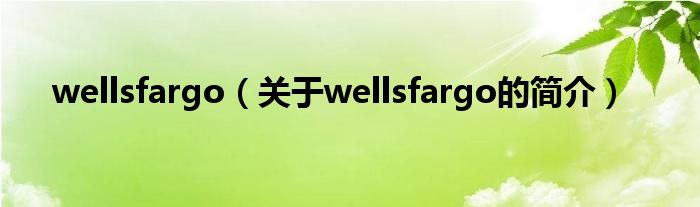 wellsfargo（關(guān)于wellsfargo的簡介）