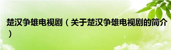 楚漢爭(zhēng)雄電視?。P(guān)于楚漢爭(zhēng)雄電視劇的簡(jiǎn)介）