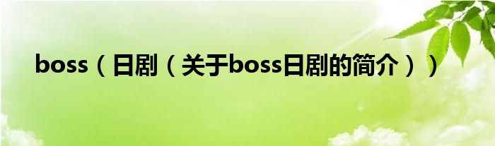 boss（日劇（關(guān)于boss日劇的簡(jiǎn)介））