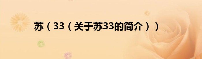 蘇（33（關(guān)于蘇33的簡(jiǎn)介））