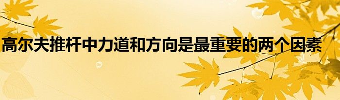 高爾夫推桿中力道和方向是最重要的兩個因素