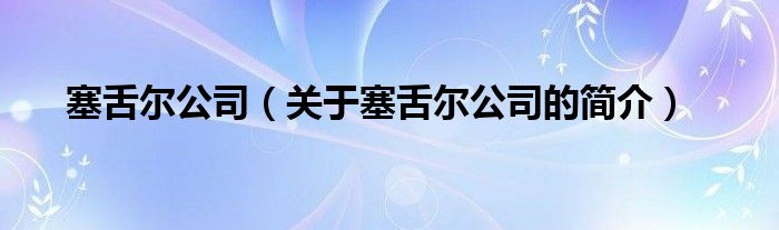 塞舌爾公司（關于塞舌爾公司的簡介）