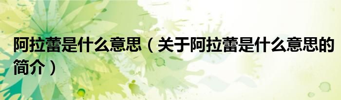 阿拉蕾是什么意思（關(guān)于阿拉蕾是什么意思的簡(jiǎn)介）