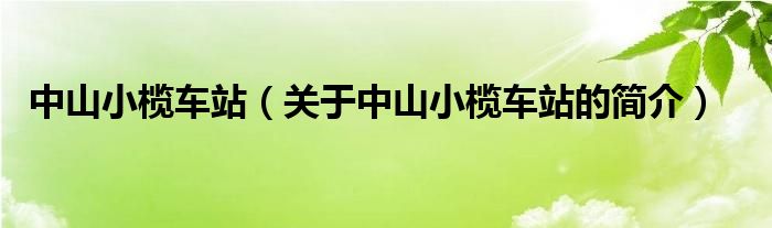 中山小欖車站（關(guān)于中山小欖車站的簡(jiǎn)介）