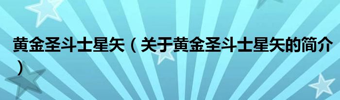 黃金圣斗士星矢（關(guān)于黃金圣斗士星矢的簡介）