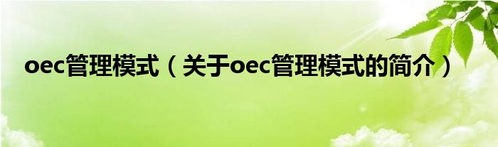 oec管理模式（關于oec管理模式的簡介）