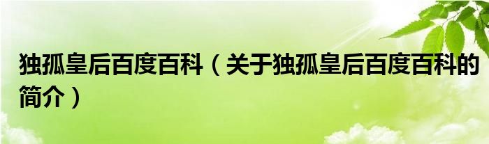 獨(dú)孤皇后百度百科（關(guān)于獨(dú)孤皇后百度百科的簡(jiǎn)介）