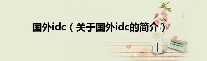 國外idc（關于國外idc的簡介）