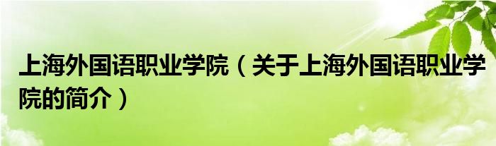 上海外國語職業(yè)學院（關(guān)于上海外國語職業(yè)學院的簡介）