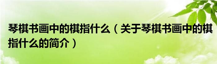 琴棋書畫中的棋指什么（關(guān)于琴棋書畫中的棋指什么的簡(jiǎn)介）