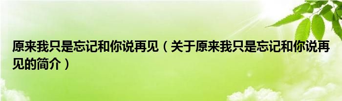 原來我只是忘記和你說再見（關于原來我只是忘記和你說再見的簡介）