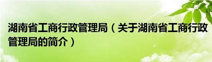 湖南省工商行政管理局（關于湖南省工商行政管理局的簡介）