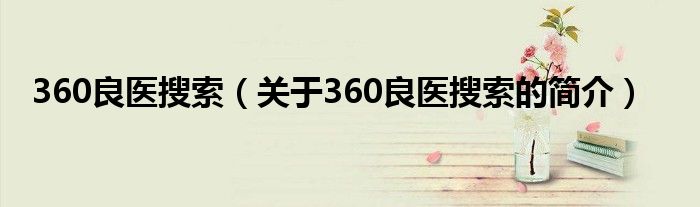 360良醫(yī)搜索（關(guān)于360良醫(yī)搜索的簡介）