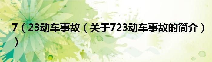 7（23動車事故（關于723動車事故的簡介））