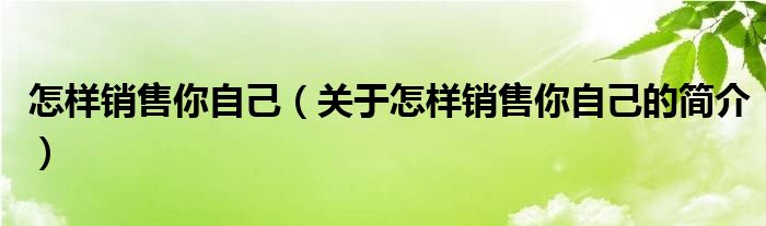 怎樣銷售你自己（關(guān)于怎樣銷售你自己的簡介）