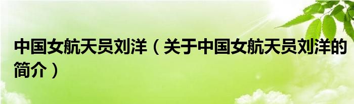 中國(guó)女航天員劉洋（關(guān)于中國(guó)女航天員劉洋的簡(jiǎn)介）