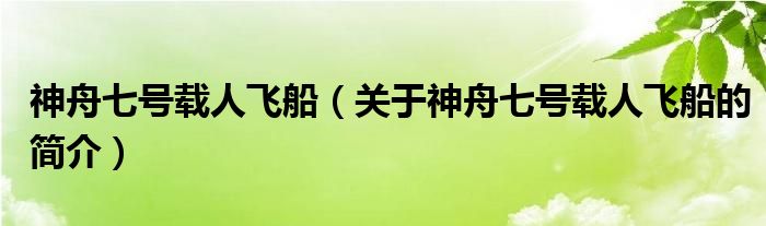 神舟七號(hào)載人飛船（關(guān)于神舟七號(hào)載人飛船的簡介）