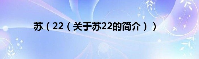 蘇（22（關于蘇22的簡介））